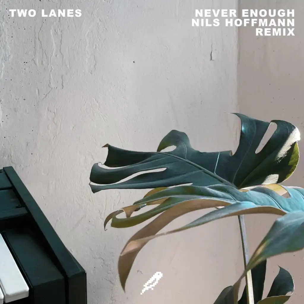 Never Enough (Nils Hoffmann Remix)