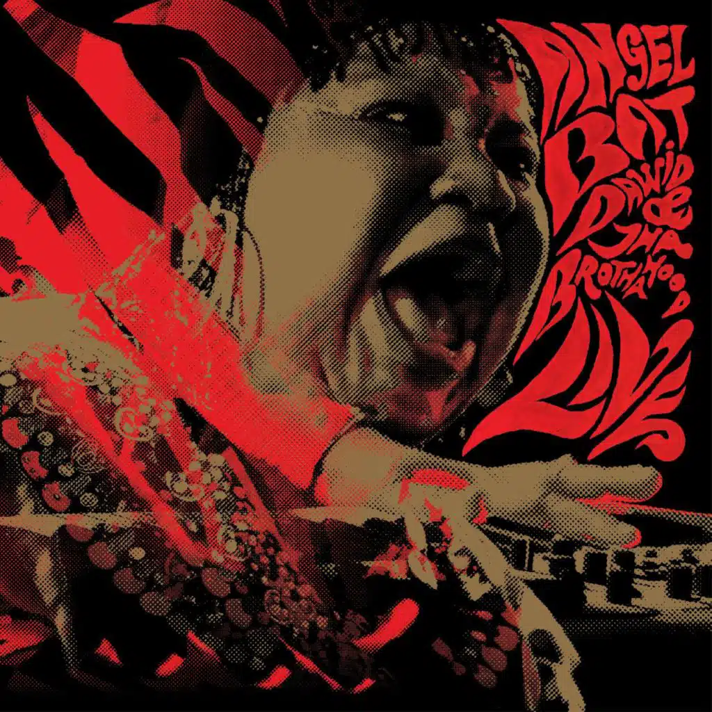 What Shall I Tell My Children Who Are Black (Live)