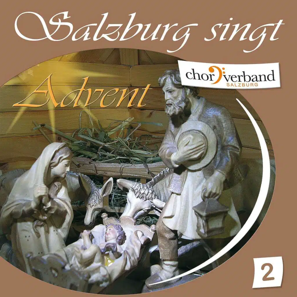 Advent - Salzburg singt (2)
