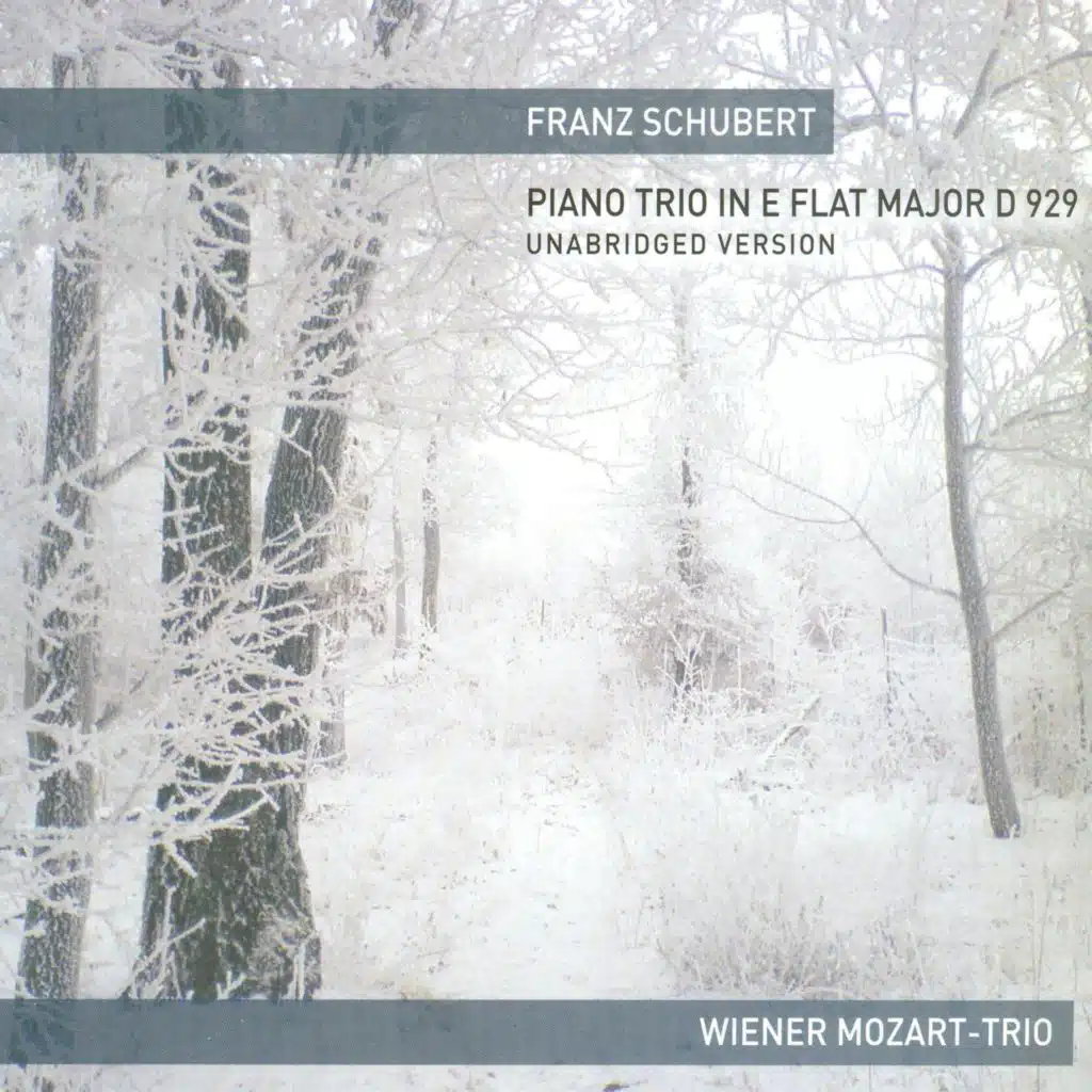 Vienna Mozart-Trio