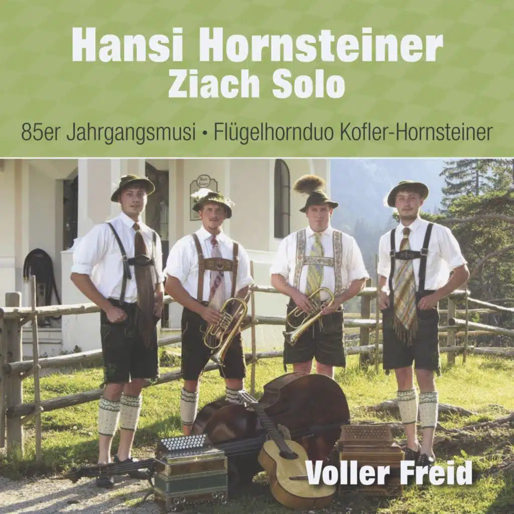 Böhmische Gedanken (Ziach Solo)
