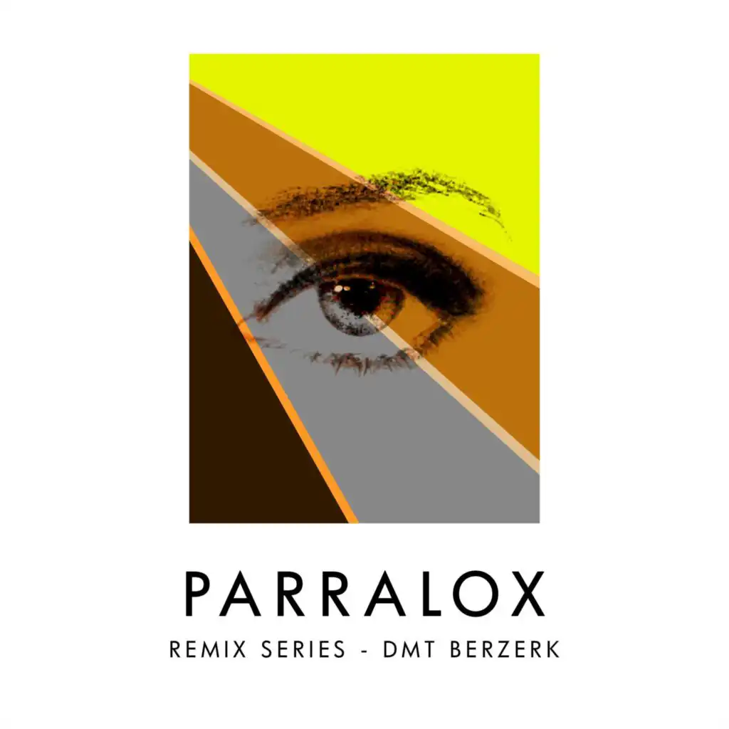 Remix Series - Dmt Berzerk