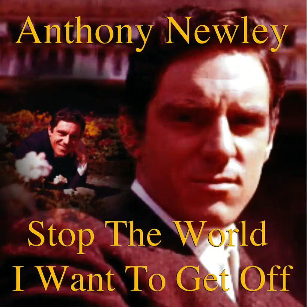 What Kind of Fool Am I?