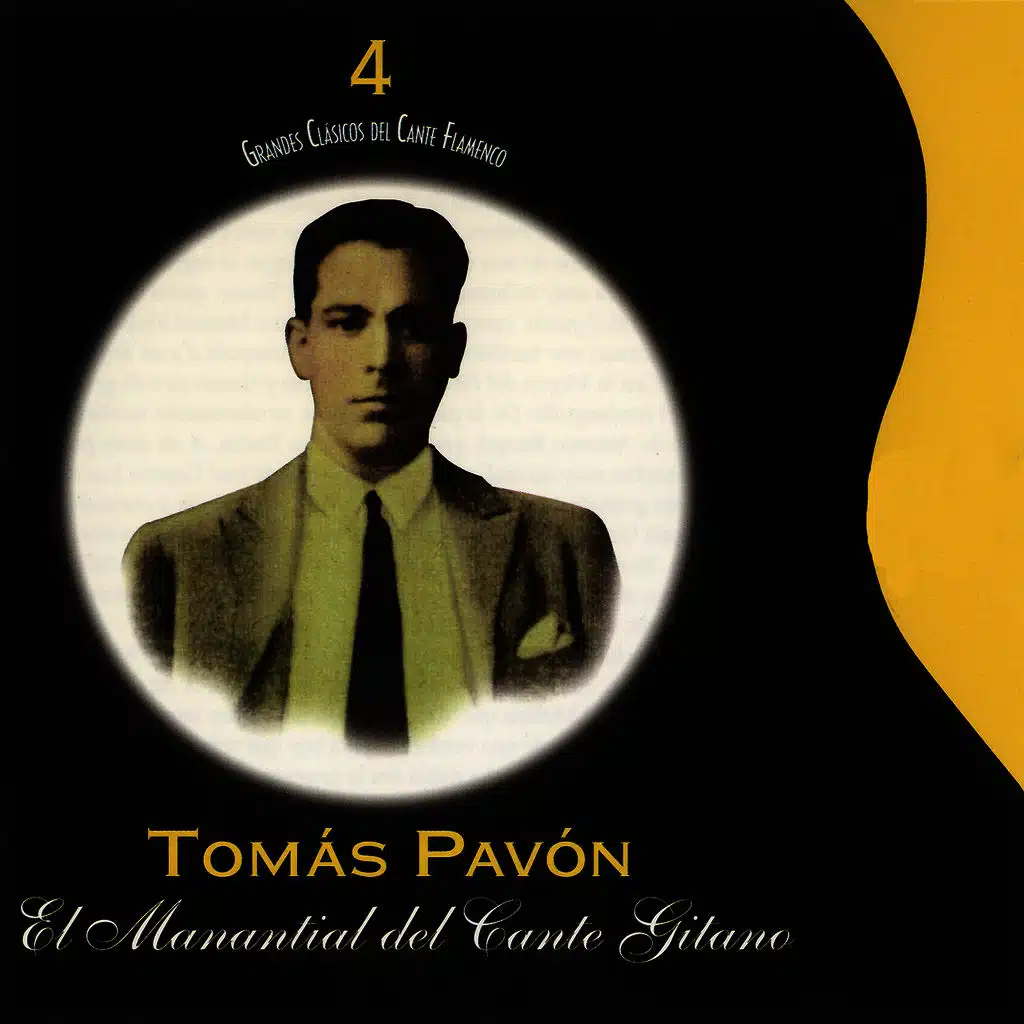 Fandanguillo de Tomás: Con la Virgen del Pilar (feat. Niño Ricardo)