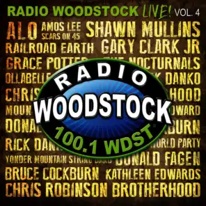 Radio Woodstock Live Vol! 4