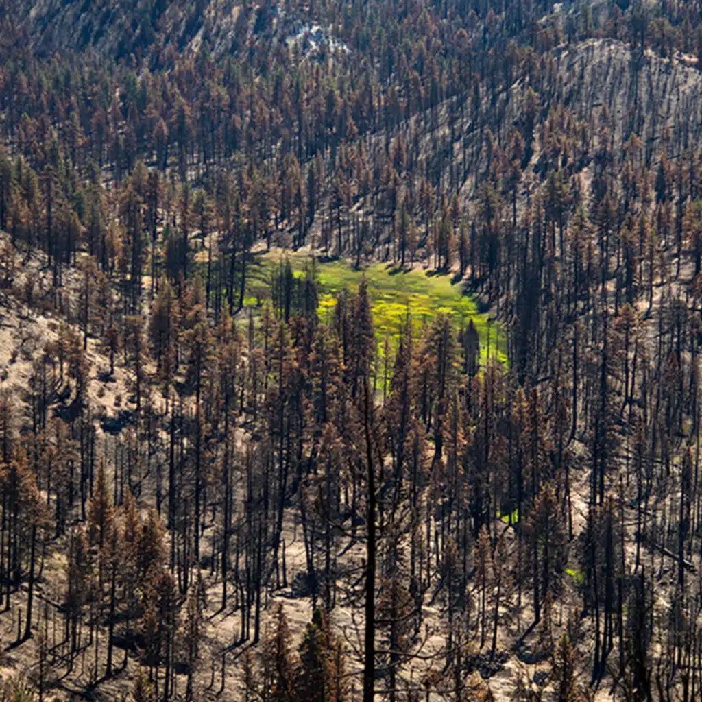 Ashes (feat. Matthew And The Atlas)