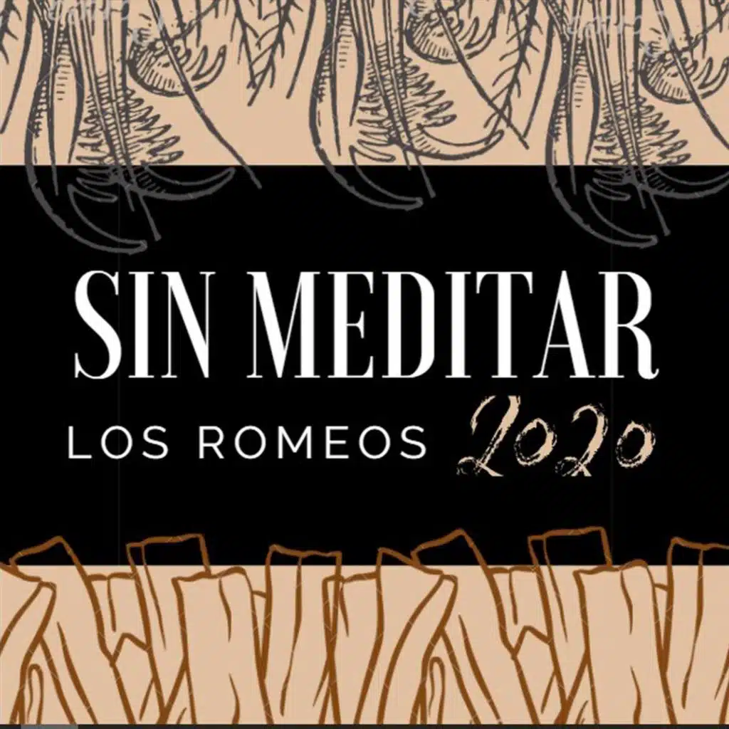 Sin Meditar