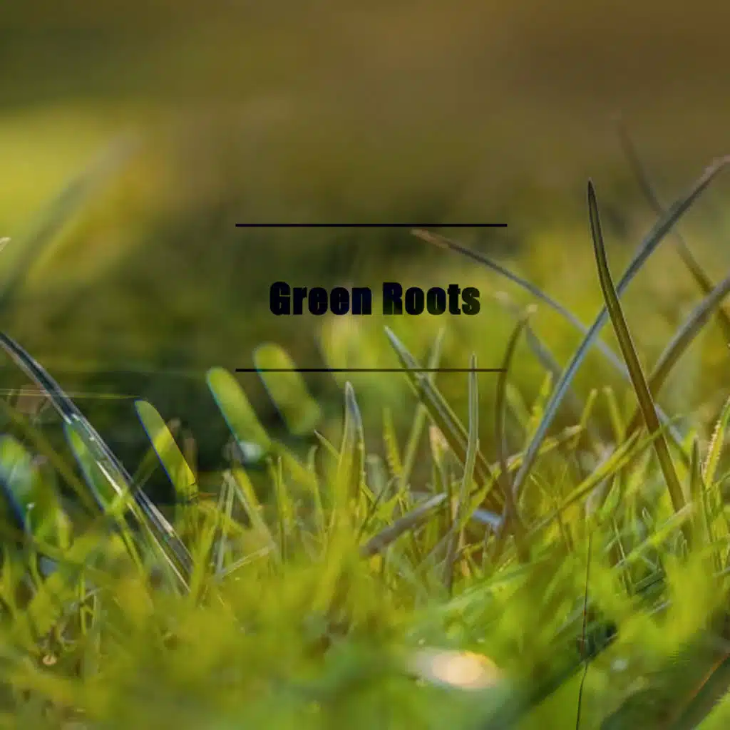 Green Roots
