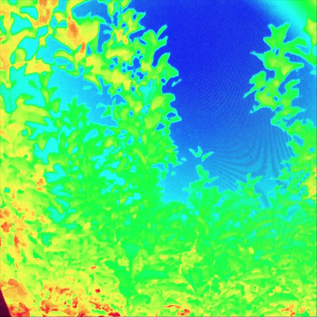 Patricia the Party Planner (Alternate Take)