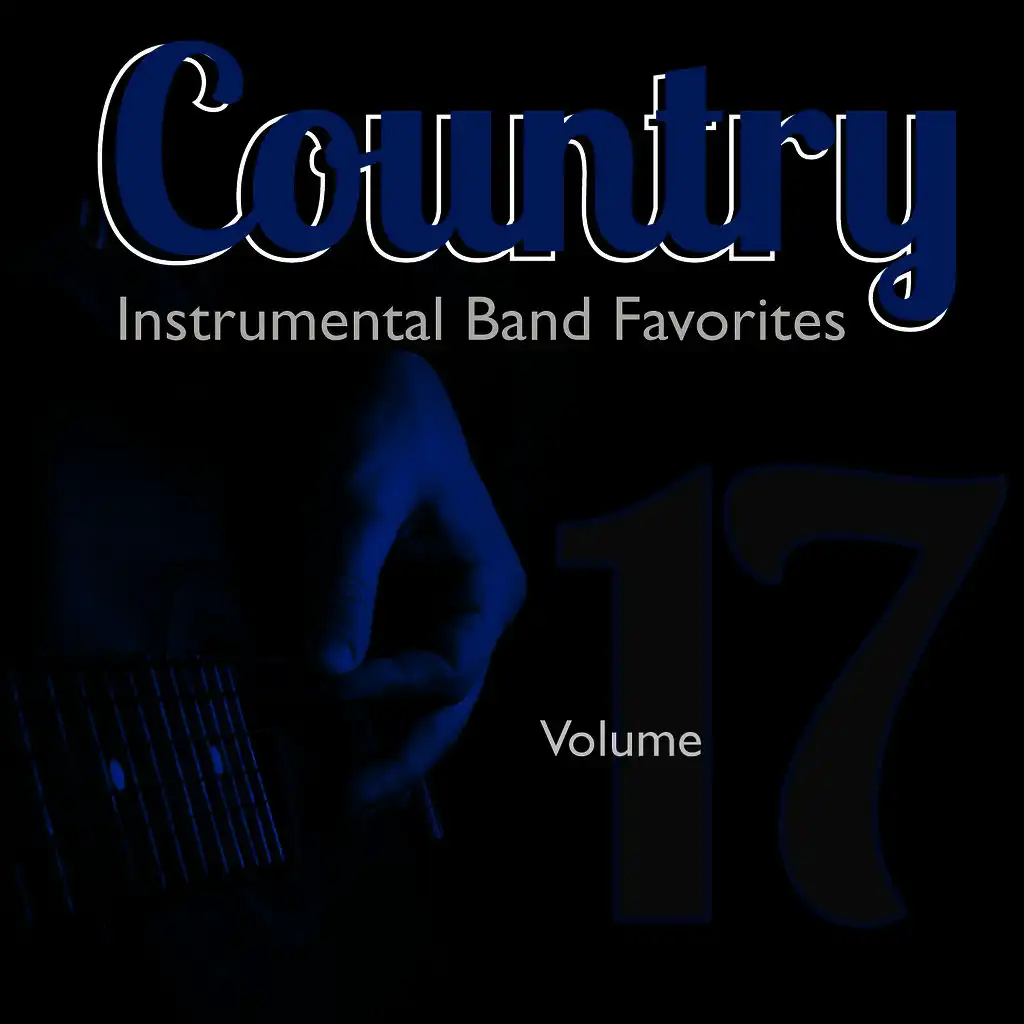 Country Instrumental Band Favorites, Vol. 17