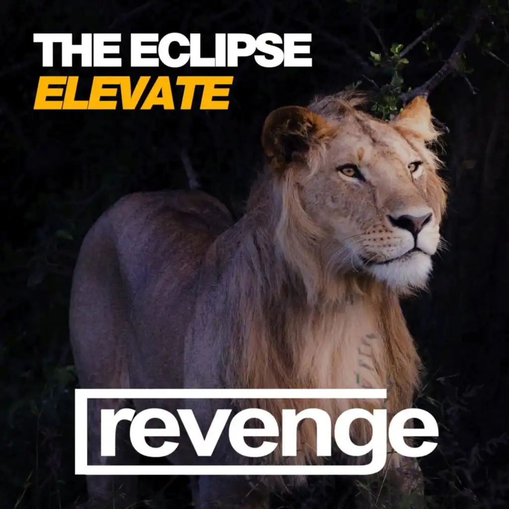 Elevate (Dub Mix)