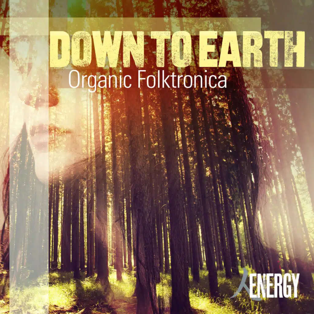 DOWN TO EARTH - Organic Folktronica