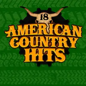 Today's Top Country Hits, Vol. 18