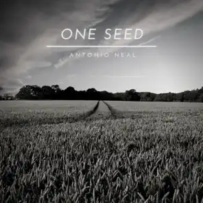 One Seed