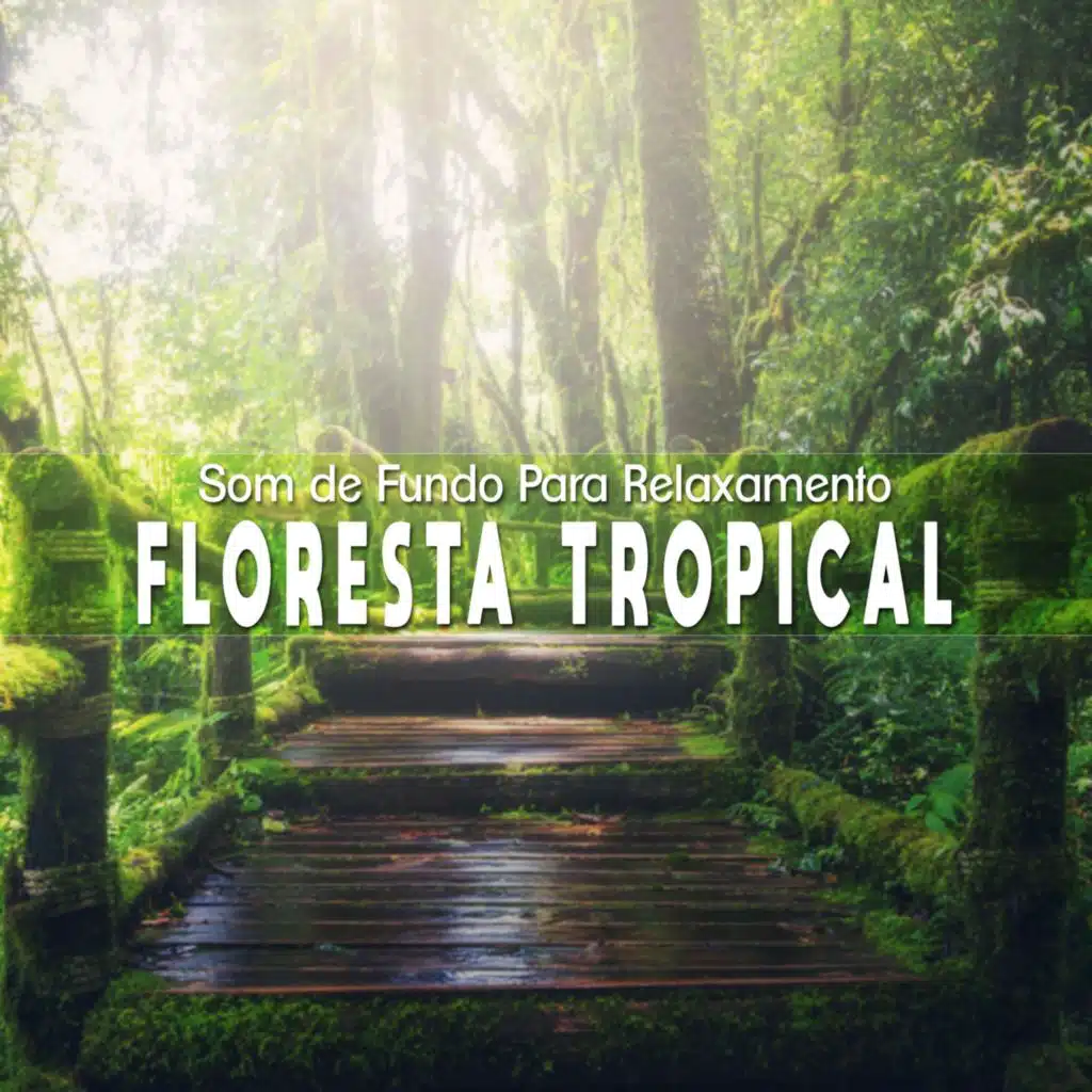 Som de Fundo para Relaxamento: Floresta Tropical, Pt. 03