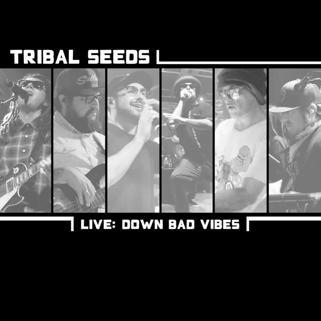 Down Bad Vibes (Live)
