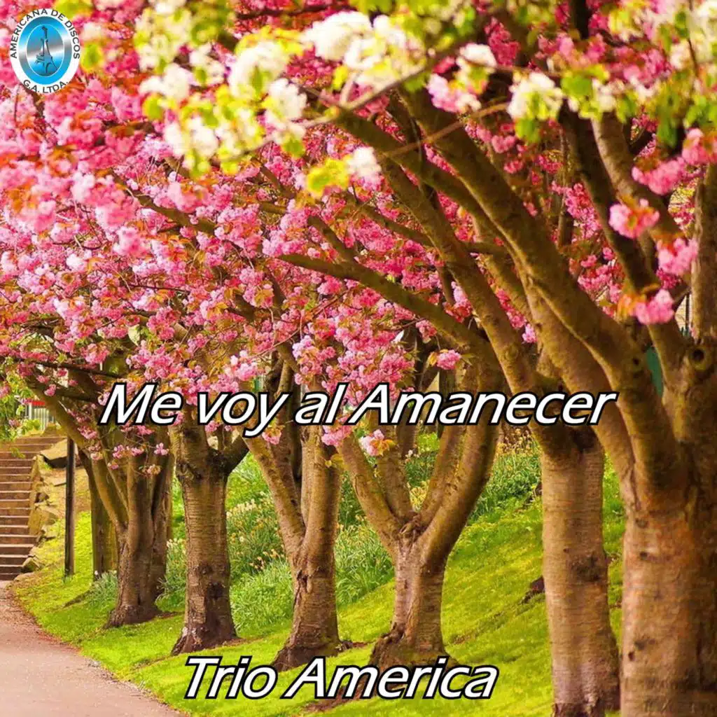 Me voy al Amanecer