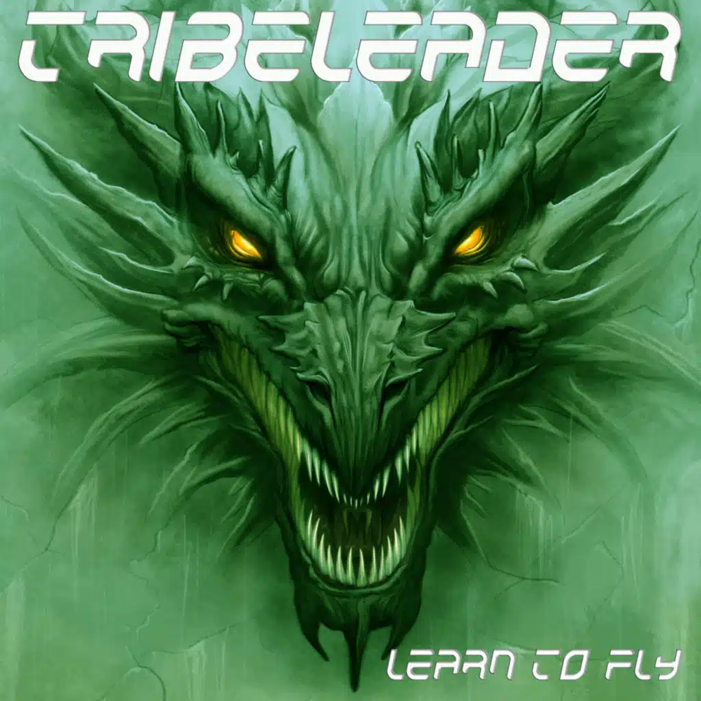 LEARN TO FLY