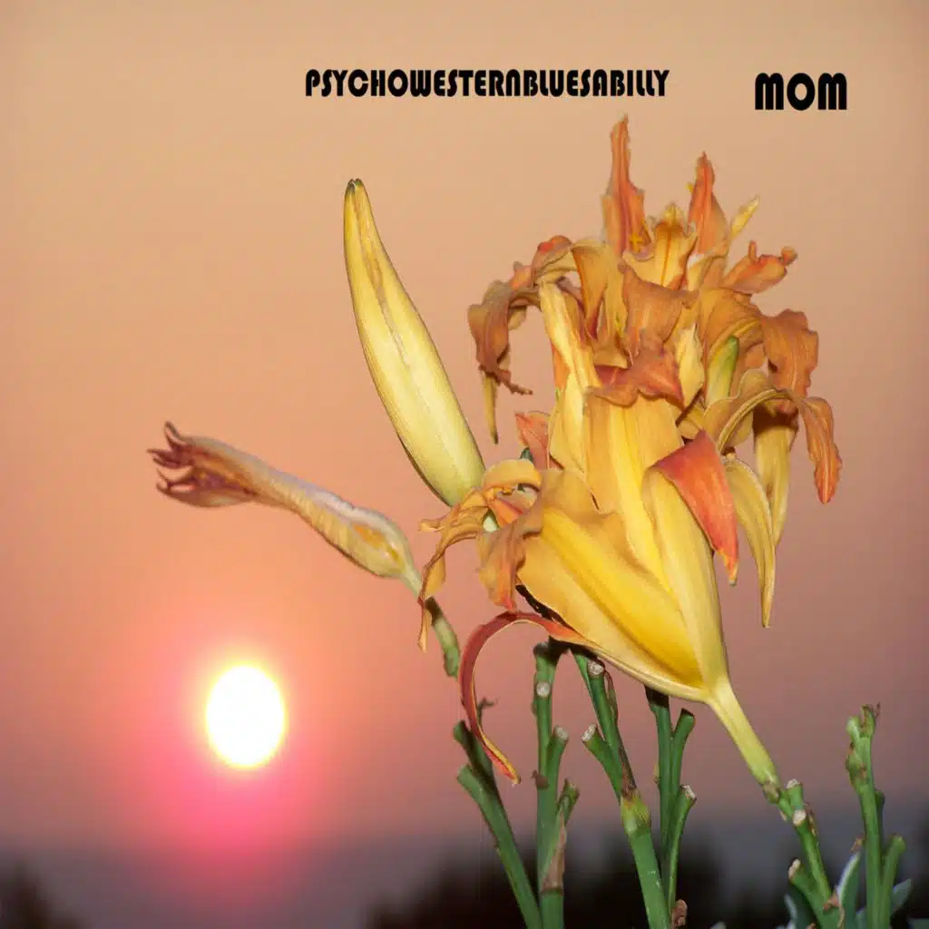 Nothing Is As Something Seems