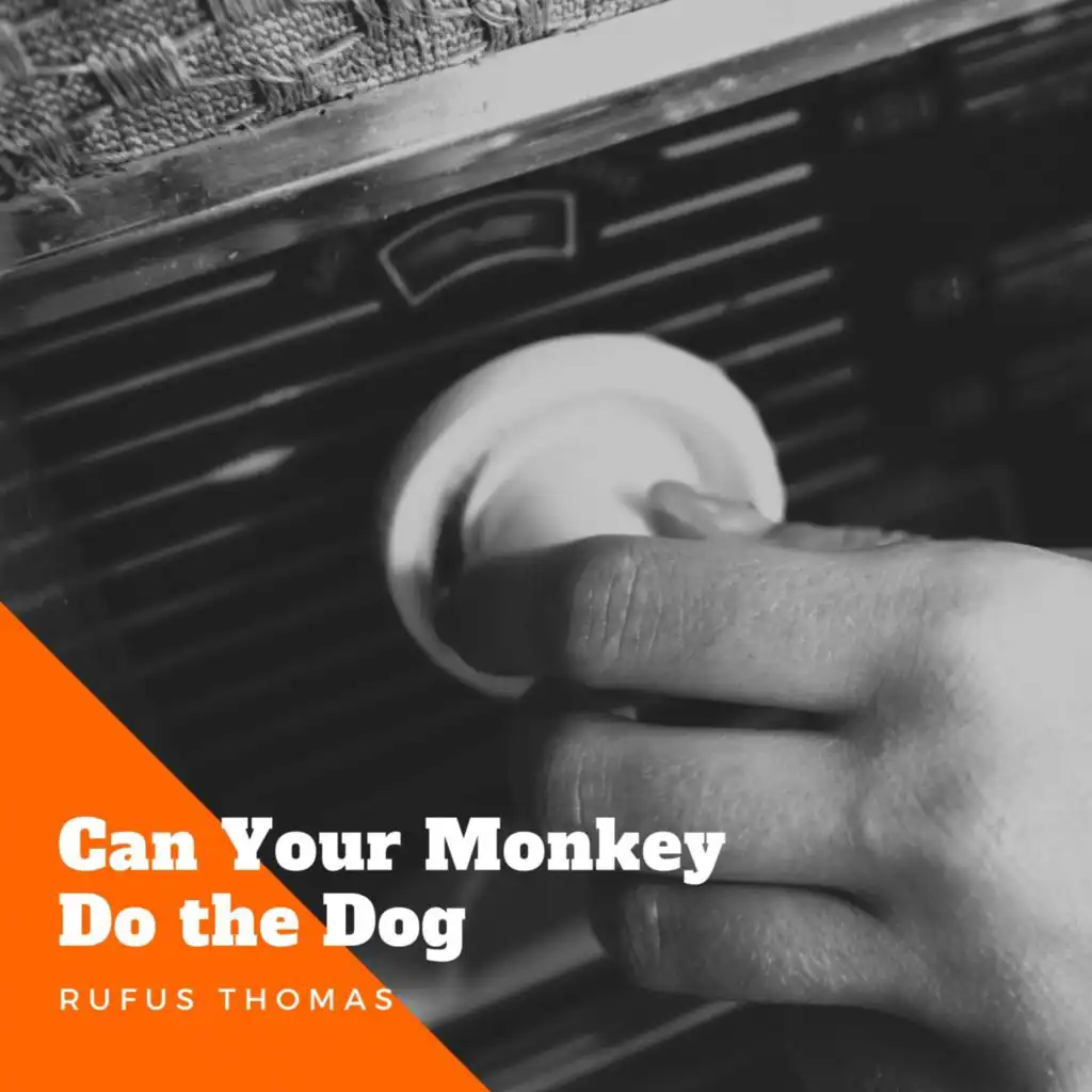 Can Your Monkey Do the Dog