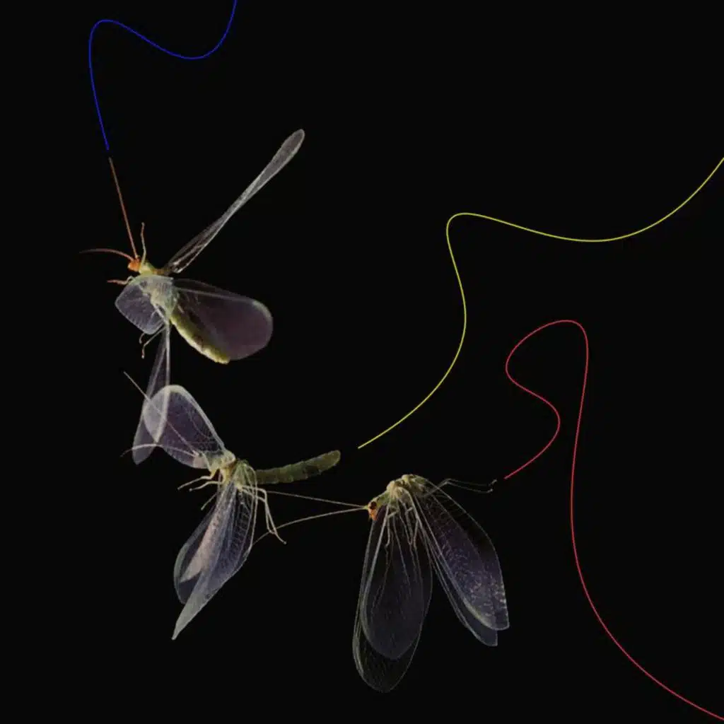 Give Back What U Stole From Me (Nightmares On Wax Remix)