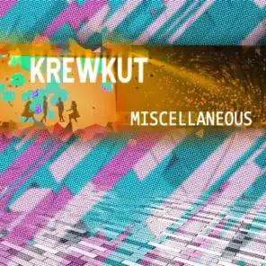 A DJ For President (KrewKut 2020 Mix) [feat. Livinwell & Sabrina Johnston]