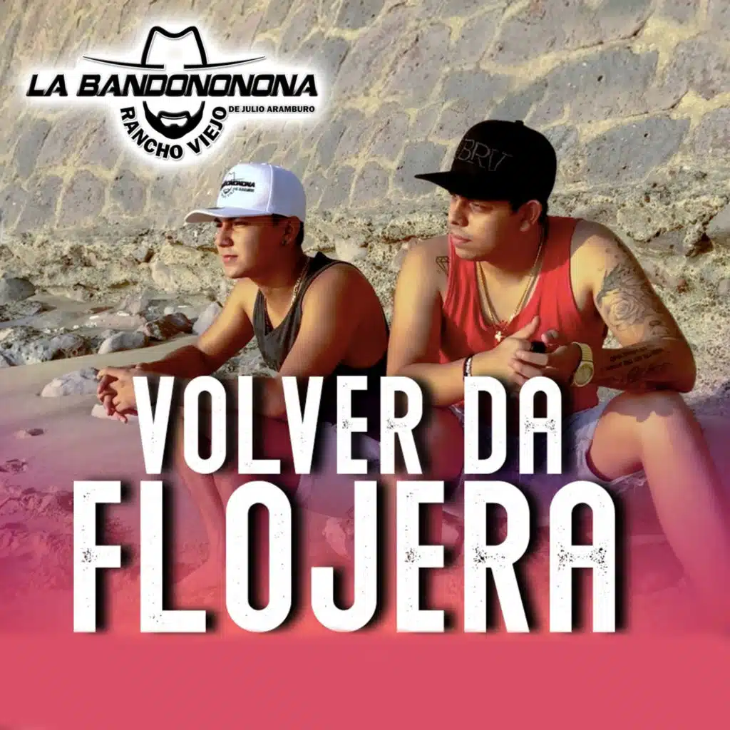 Volver da Flojera (Acustica)