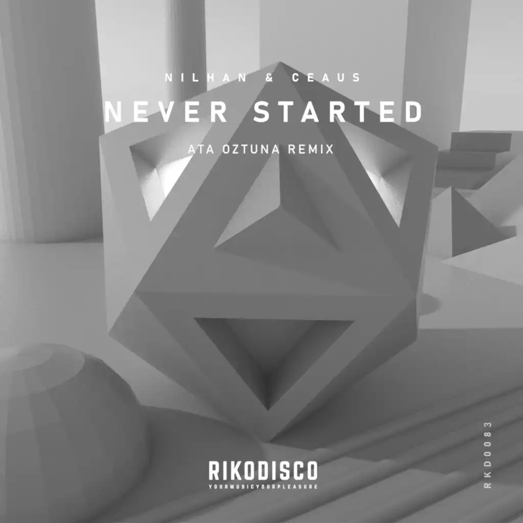 Never Started (Remix)