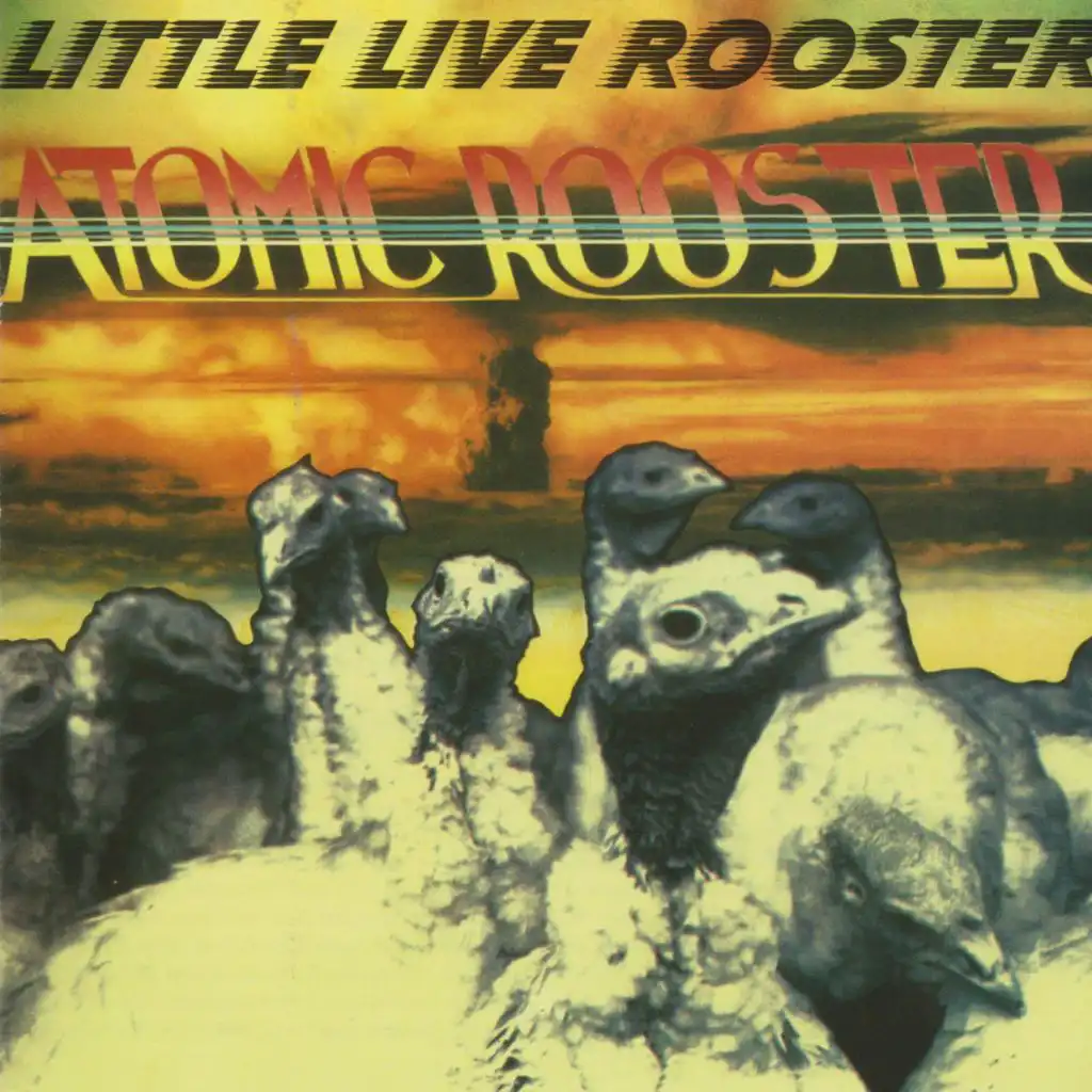 Little Live Rooster - London 1972 (Live)