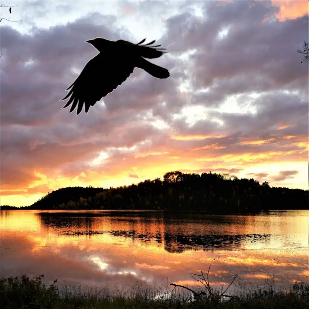 Andrei Krylov & Anastasia Mg