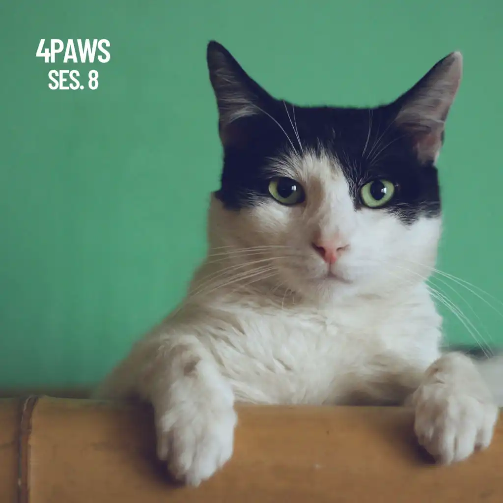 4 Paws, Sleeping Music for Dogs and Cats Session 8