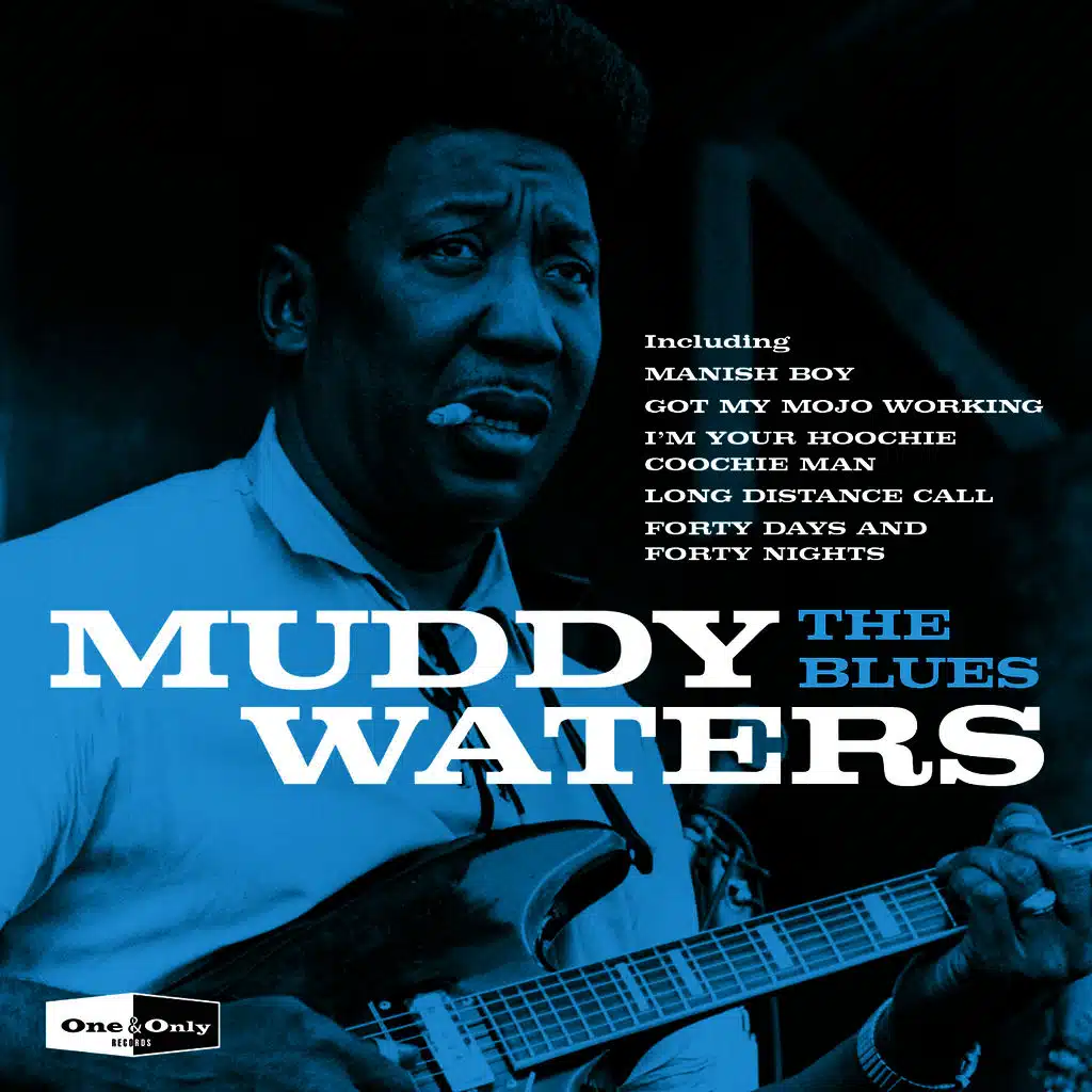 One & Only - Muddy Waters