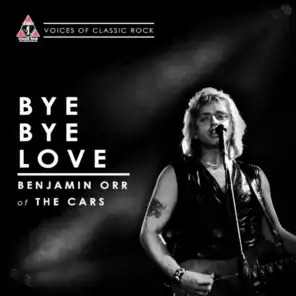Bye Bye Love (Live)