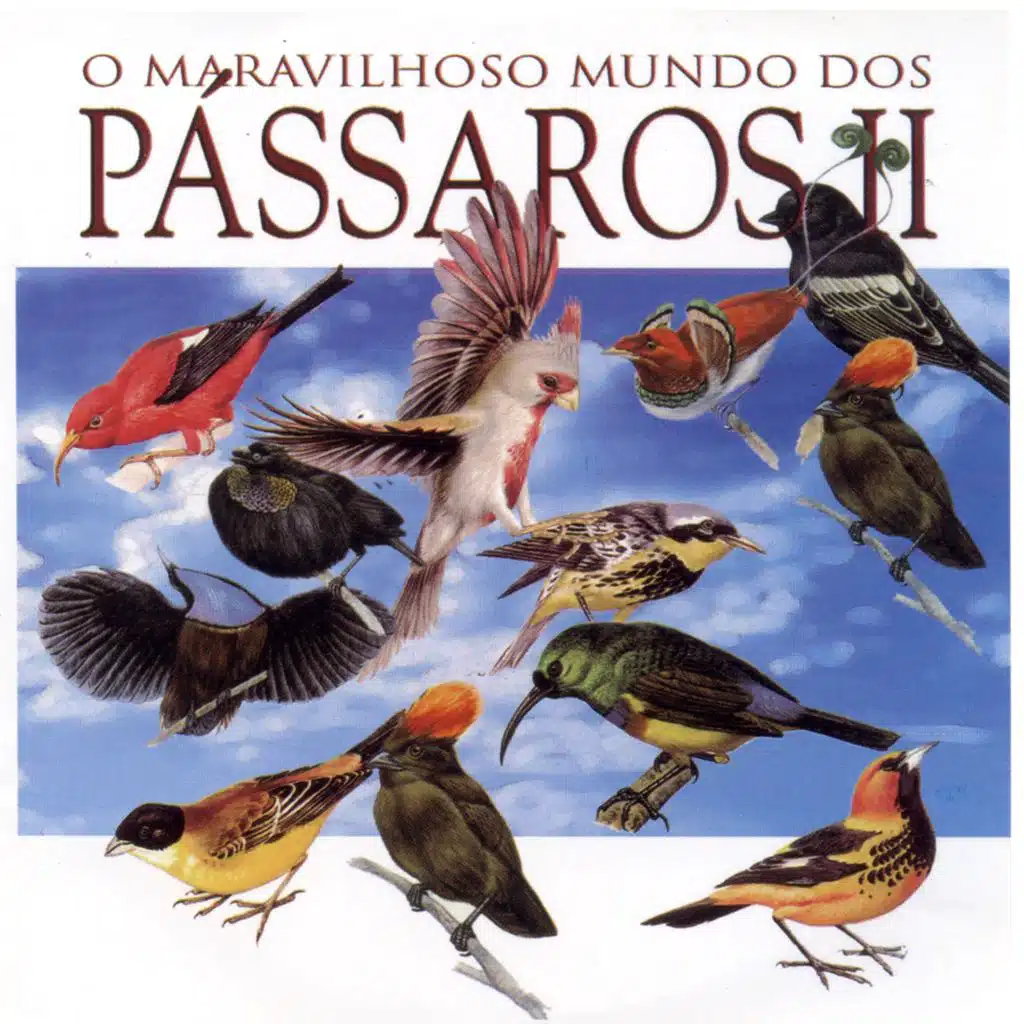 O Maravilhoso Mundo dos Pássaros Vol. 2