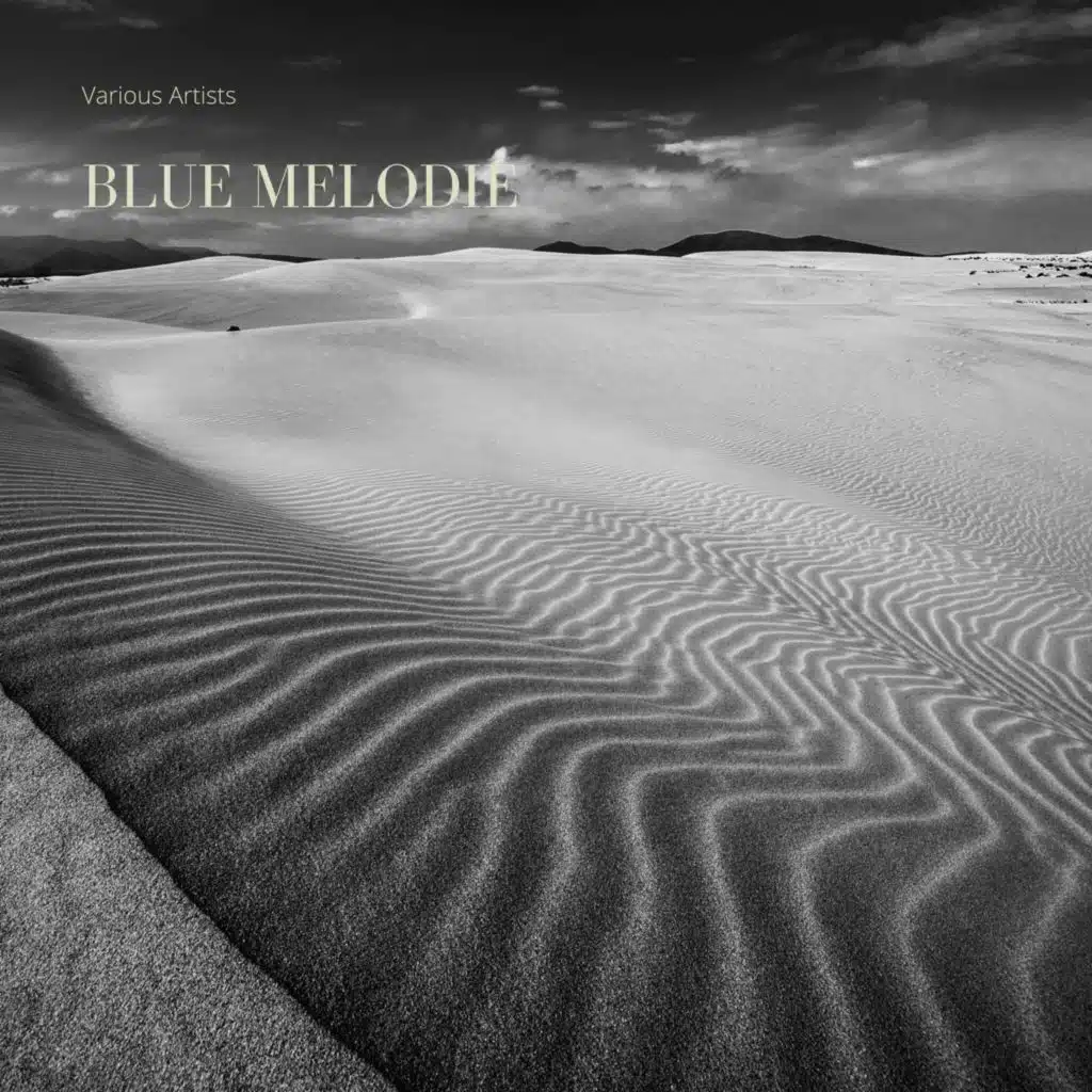 The Old Merry Tale Jazz Band