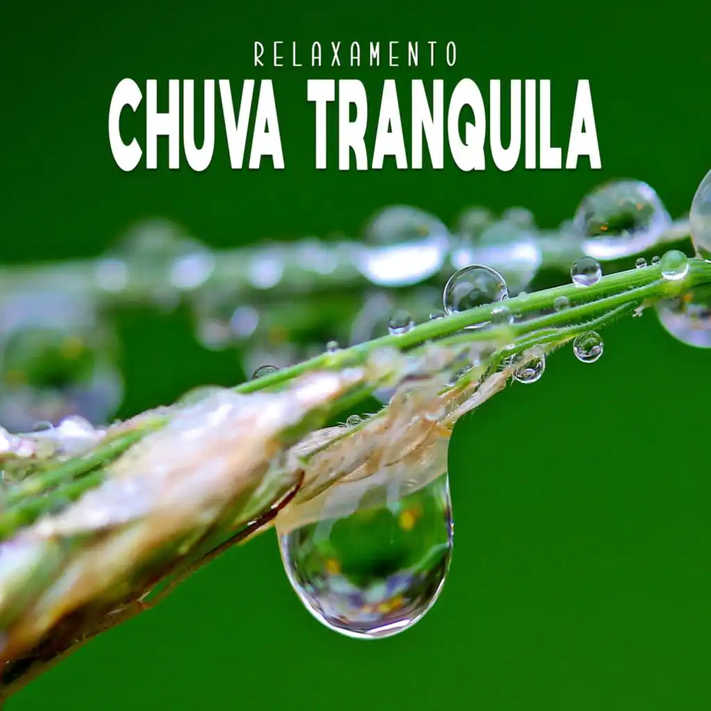 Relaxamento: Chuva Tranquila, Pt. 05