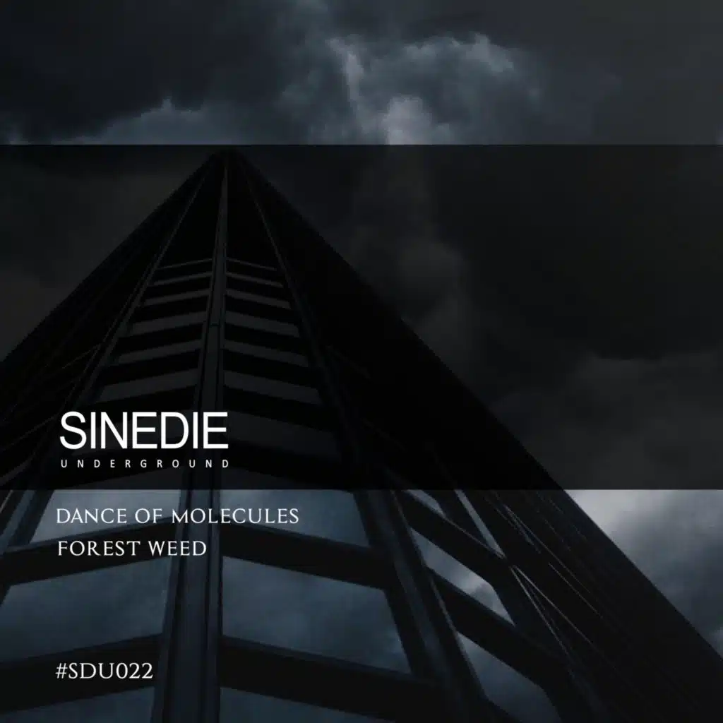 Forest Weed & Marchesan