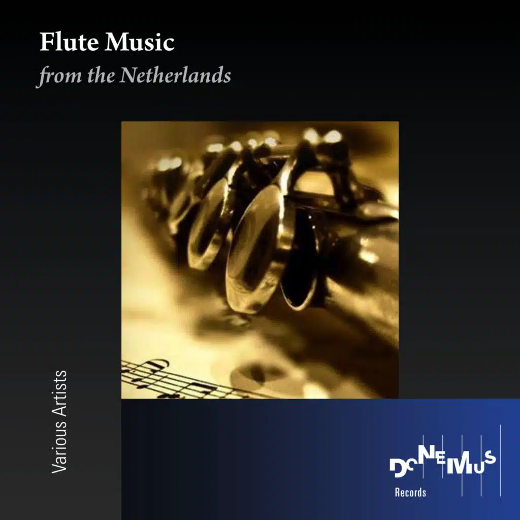 Concerto for Flute and Orchestra, Op. 19: III. Variazioni