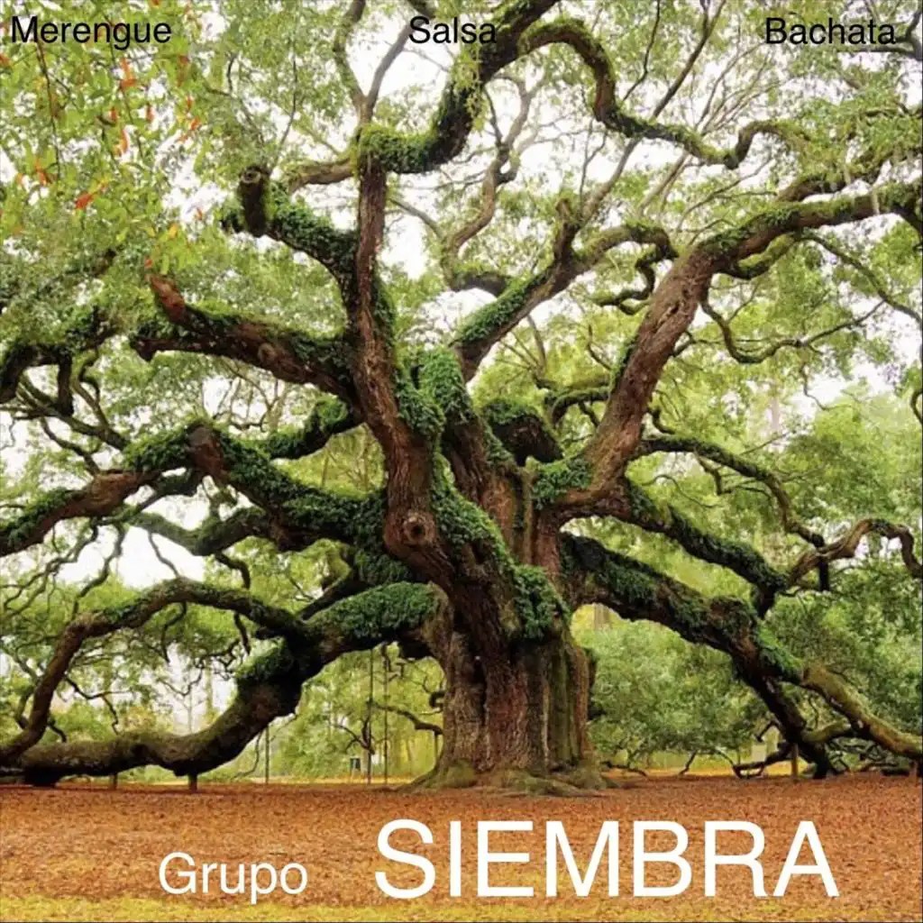 Grupo Siembra