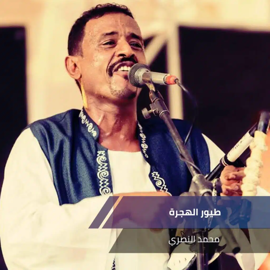 طيور الهجرة