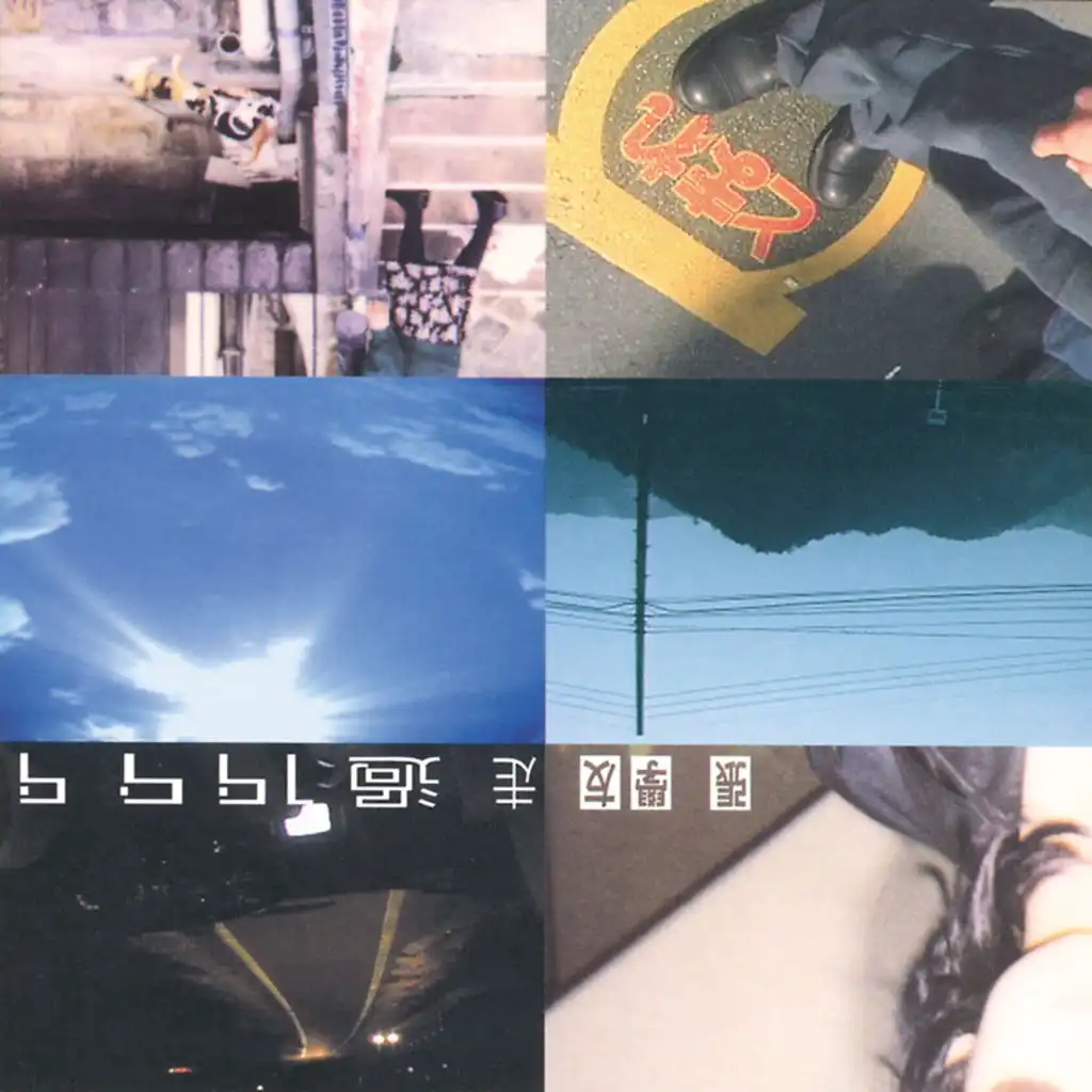 她來聽我的演唱會