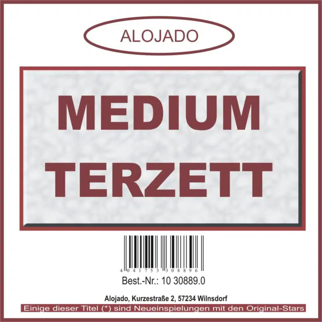Drei Chinesen mit dem Kontrabass* (1992)