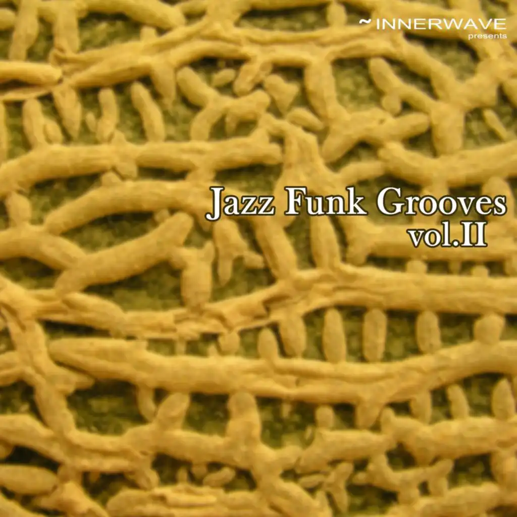 Jazz Funk Grooves, Vol. 2