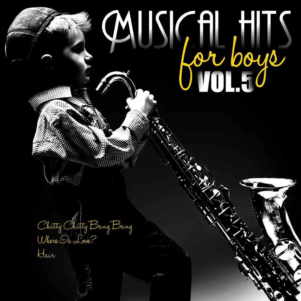 Karaoke - Musical Hits for Boys, Vol. 5