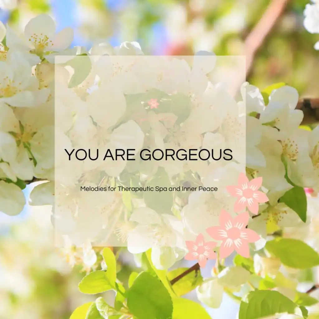 You Are Gorgeous - Melodies For Therapeutic Spa And Inner Peace