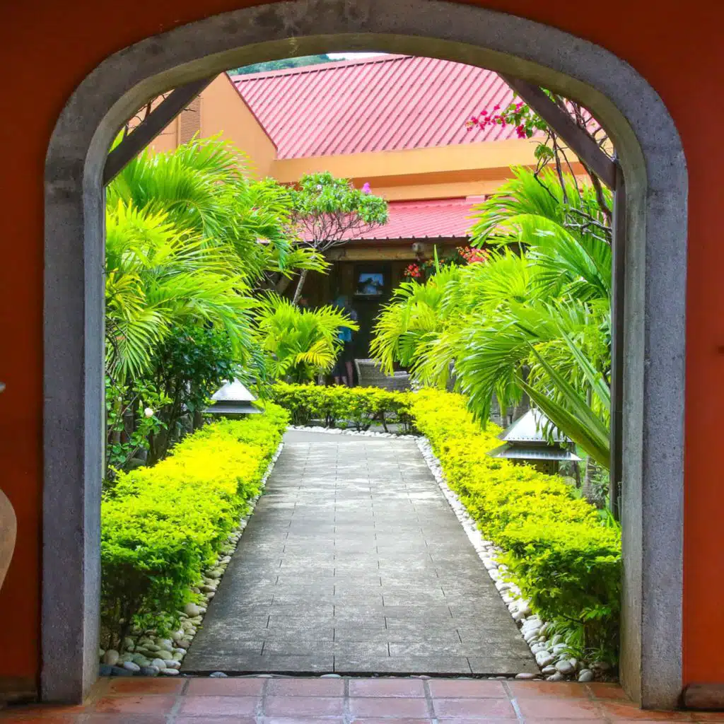 The Garden