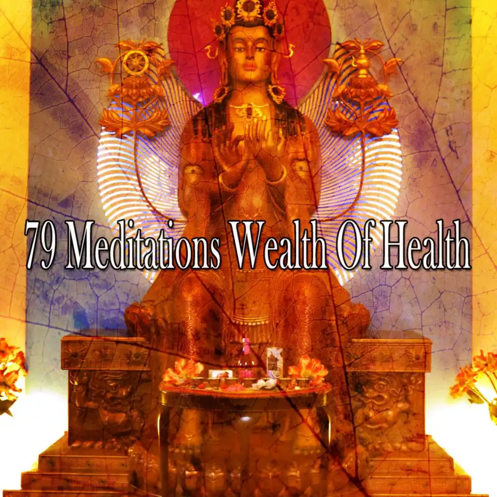 79 Meditations Wealth of Health