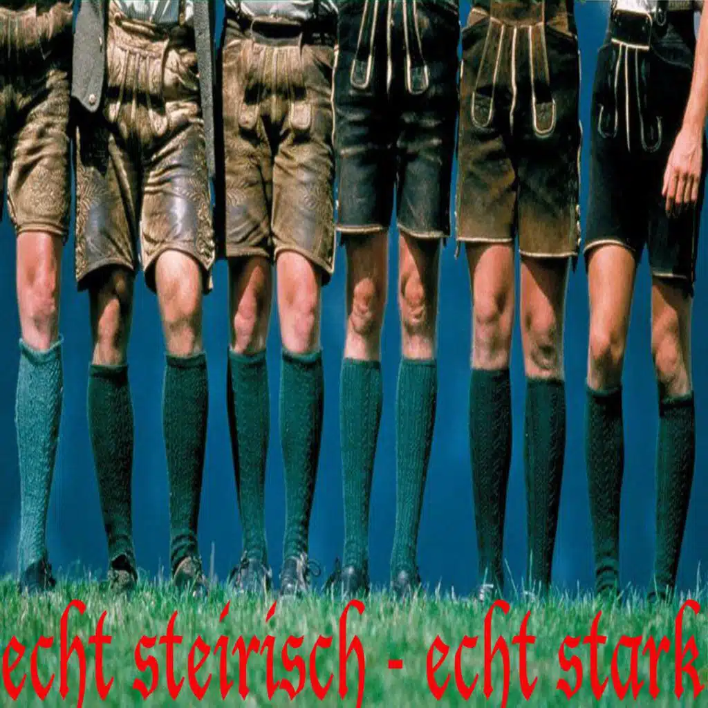 Echt Steirisch - Echt Stark, Vol. 1