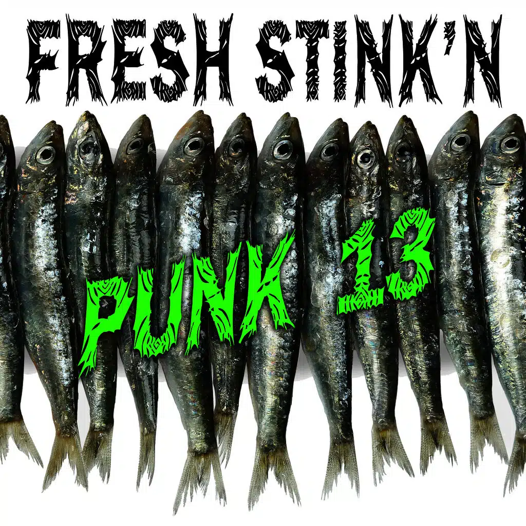 Fresh Stink'n Punk, Vol. 13