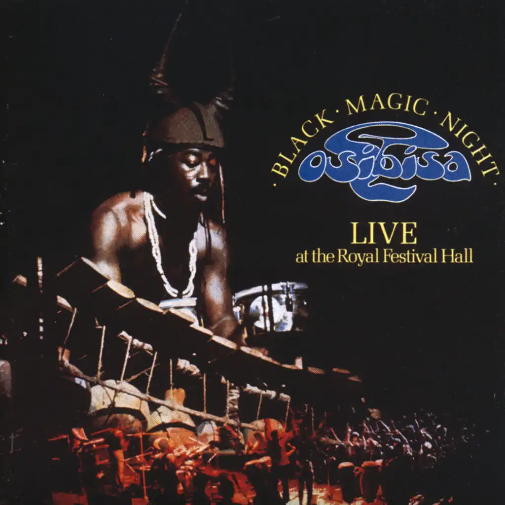 Music For Gong Gong - Live At The Royal Festival Hall